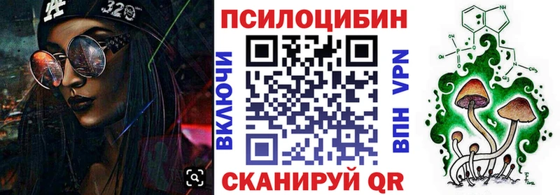 продажа наркотиков  Покровск  Галлюциногенные грибы Psilocybe 